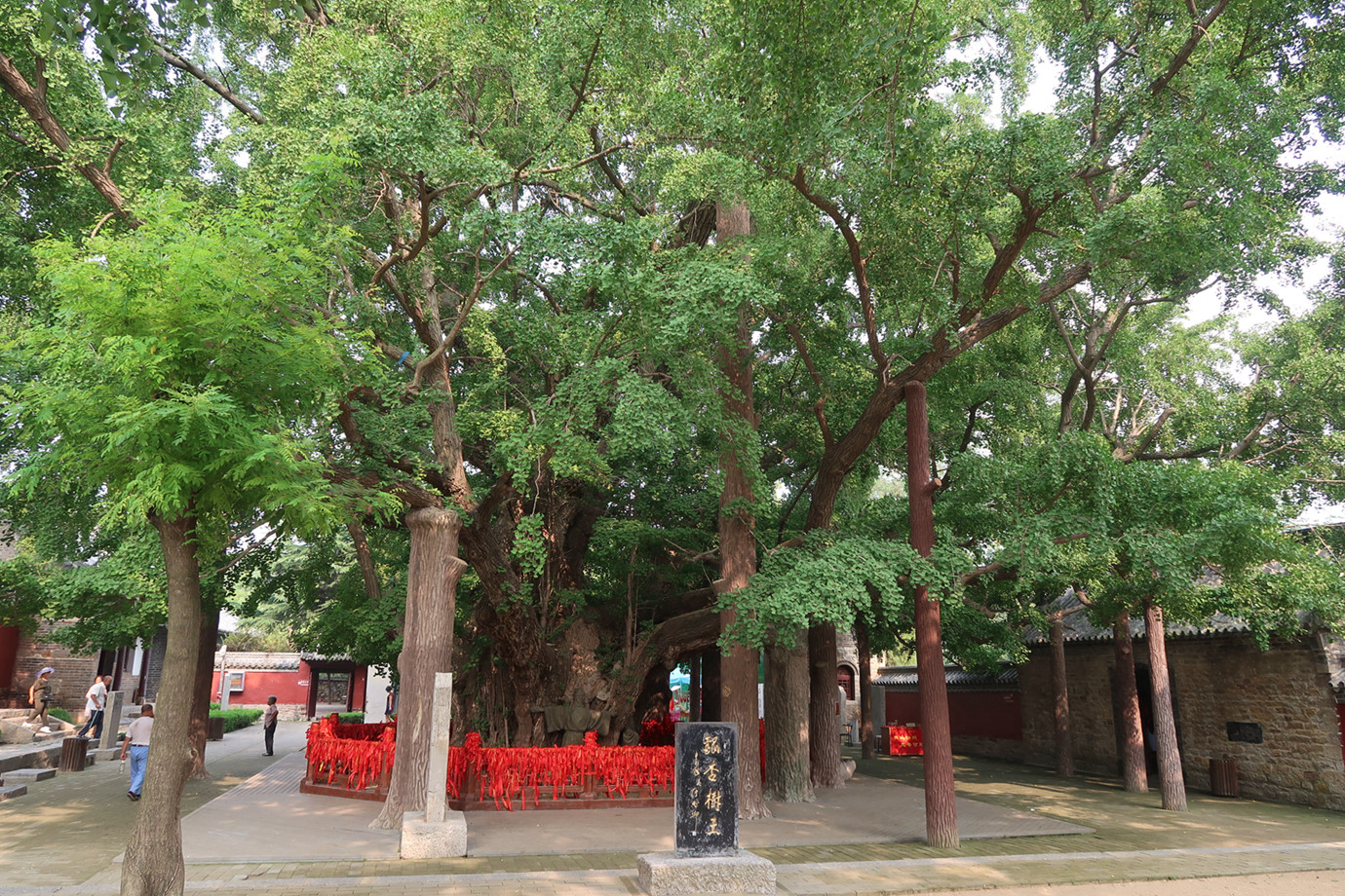 山東日照-浮來山定林寺